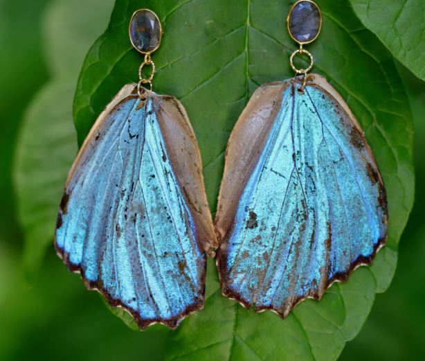 Morpho Butterfly buy Earrings